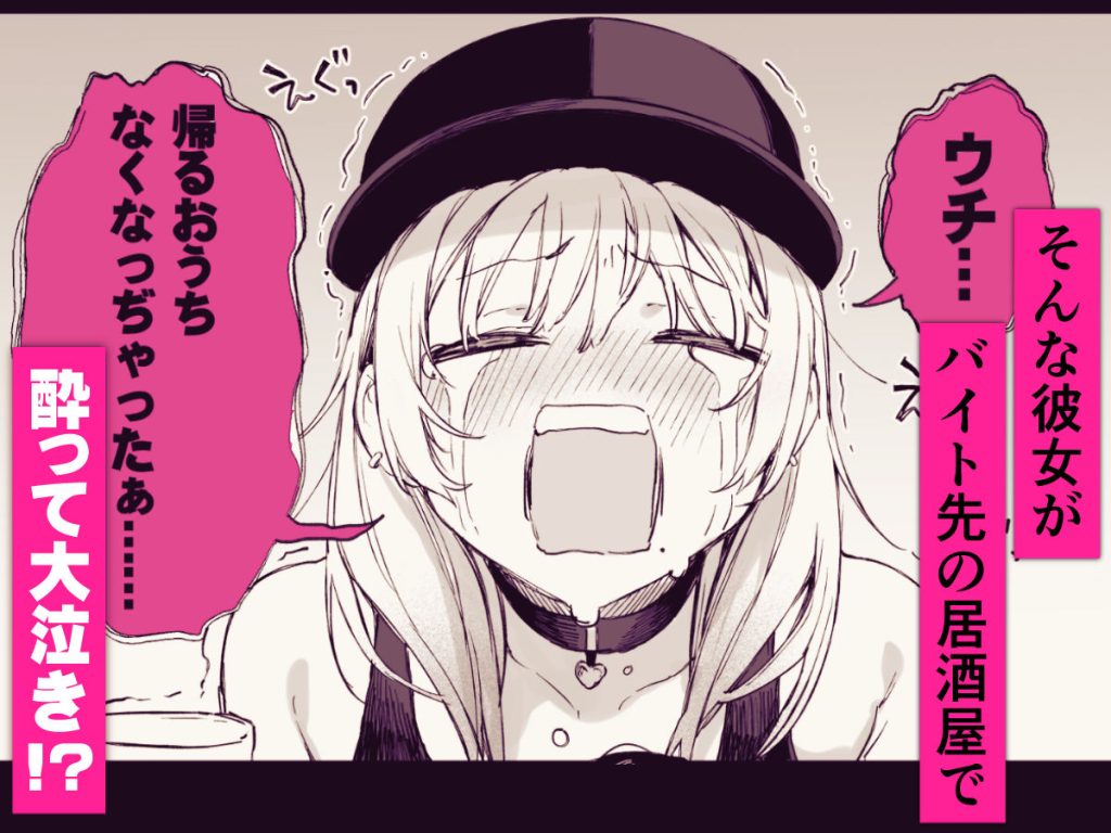 一晩泊めてよ、オタクくん 3