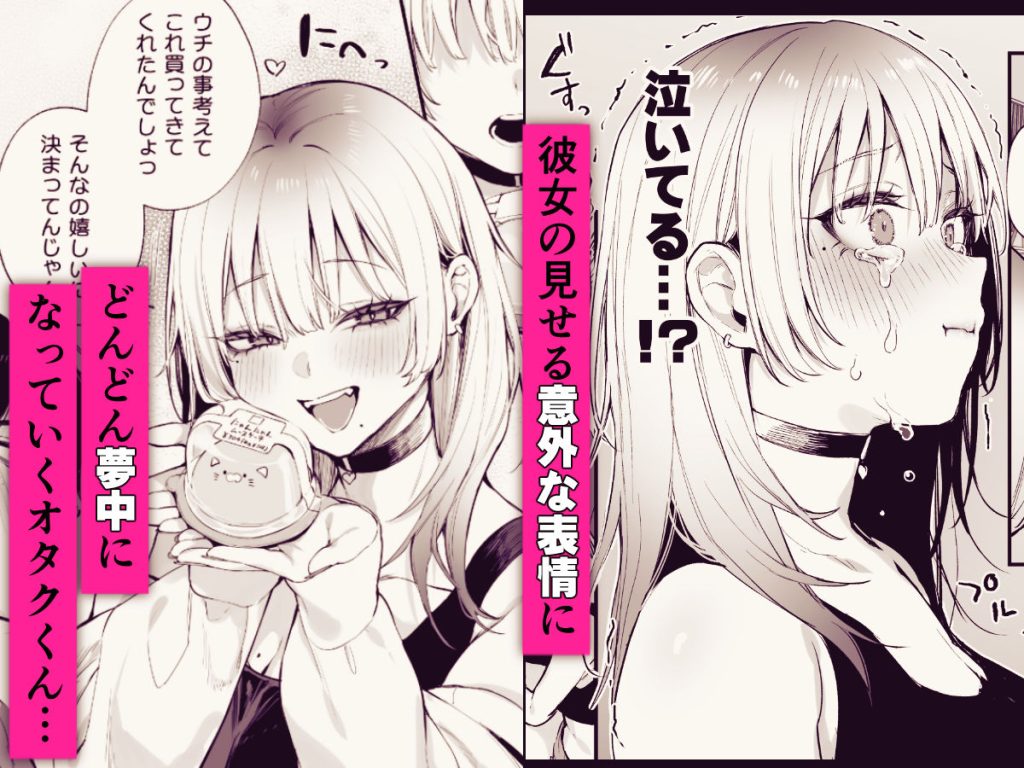 一晩泊めてよ、オタクくん 6